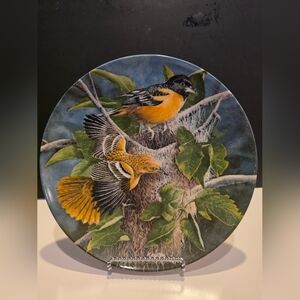 The Baltimoe Oriele-Kevin Daniel 1985 Collectible Plate # 296 C